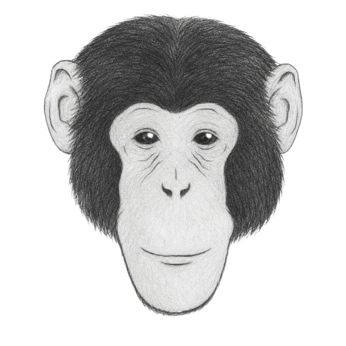 Nim Chimpsky